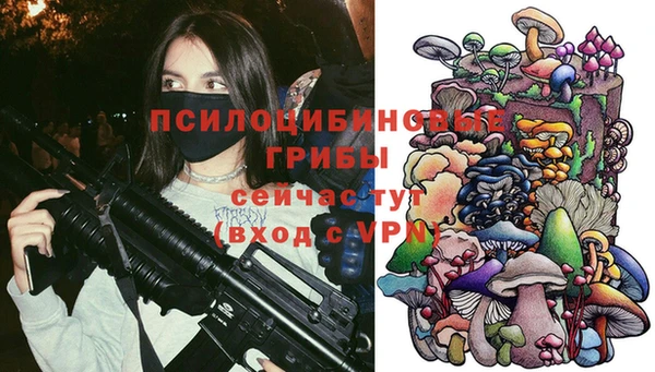 твердый Лабытнанги