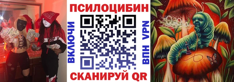 Псилоцибиновые грибы GOLDEN TEACHER Копейск