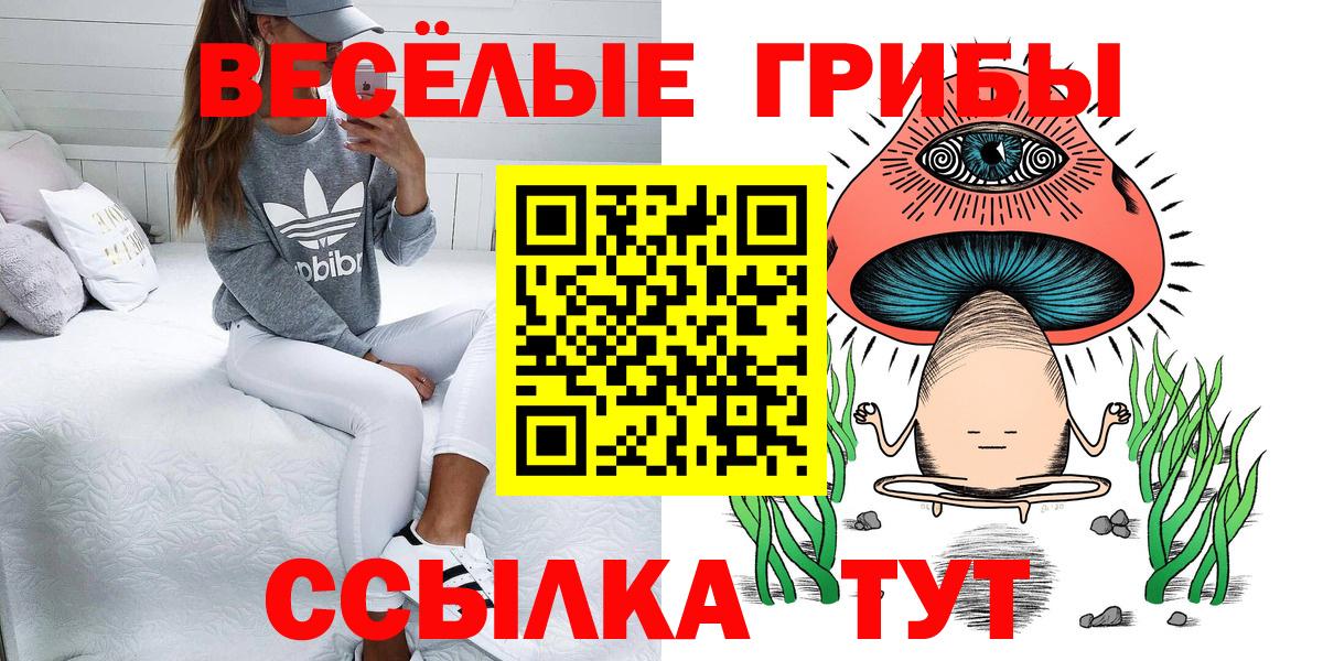 Копейск  Галлюциногенные грибы мухоморы  что такое   Галлюциногенные грибы Psilocybine cubensis  Вход с VPN 