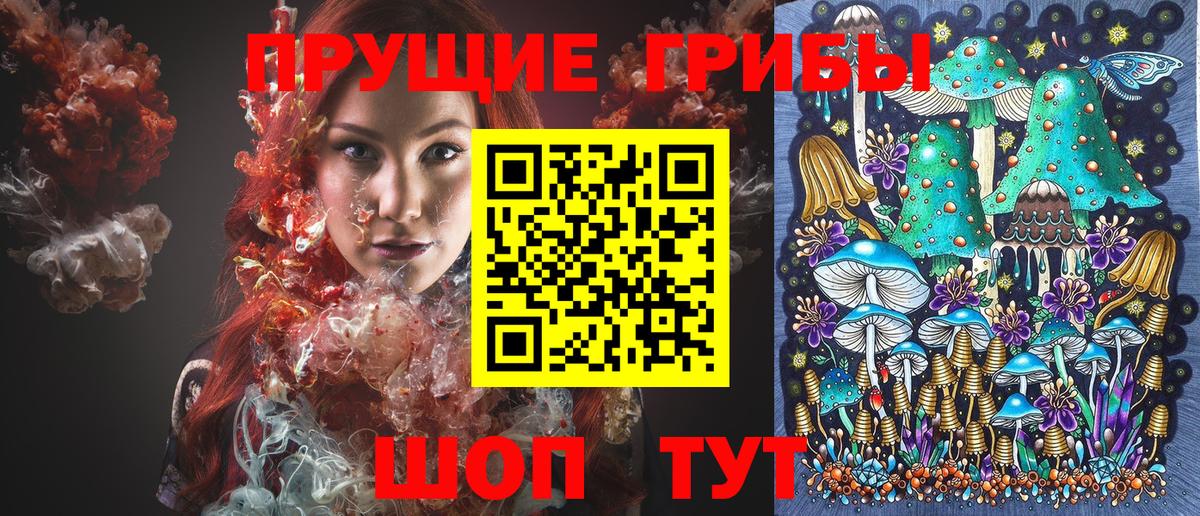 Галлюциногенные грибы Psilocybe  Копейск 